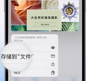 南岗apple维修中心分享iPhone文件应用中存储和找到下载文件