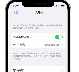 南岗apple服务站点分享iPhone上个人热点丢失了怎么办 