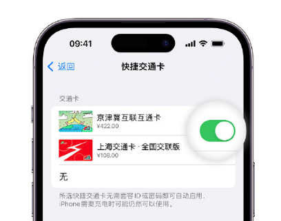 南岗apple维修点分享iPhone上更换Apple Pay快捷交通卡手绘卡面 