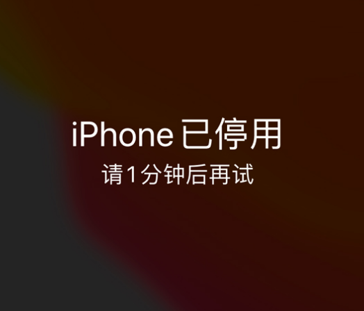 南岗苹果手机维修分享:iPhone 显示“不可用”或“已停用”怎么办？还能保留数据吗？ 