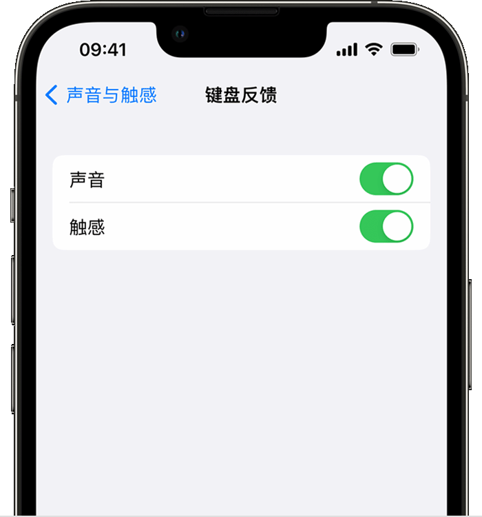 南岗苹果14维修店分享如何在 iPhone 14 机型中使用触感键盘 