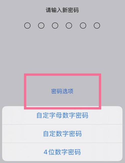 南岗苹果14维修分享iPhone 14plus设置密码的方法 