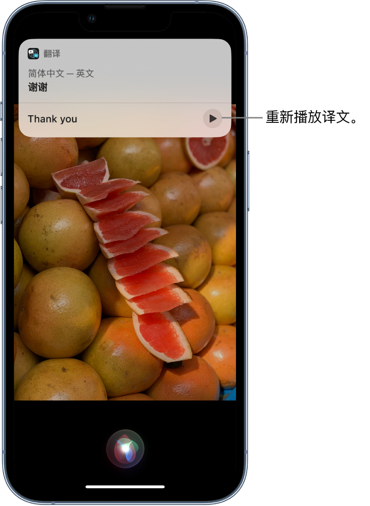 南岗苹果14维修分享 iPhone 14 机型中使用 Siri：了解 Siri 能帮你做什么 