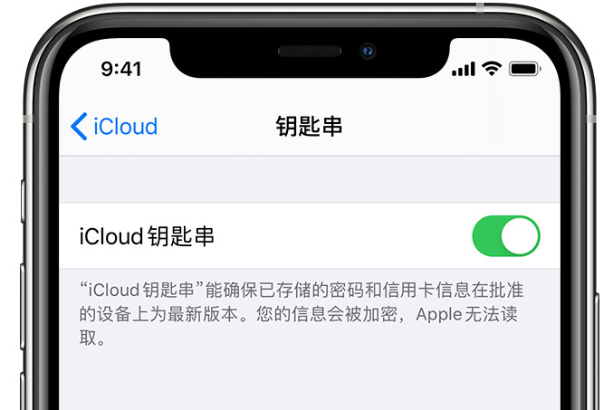 南岗苹果手机维修分享在 iPhone 上开启 iCloud 钥匙串之后会储存哪些信息 