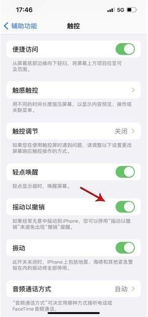 南岗苹果手机维修分享iPhone手机如何设置摇一摇删除文字 